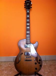 Ibanez AGS 83 005.JPG