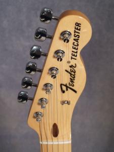 FANTT_headstock-front.jpg