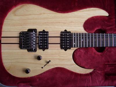 Ibanez RGt220.jpg
