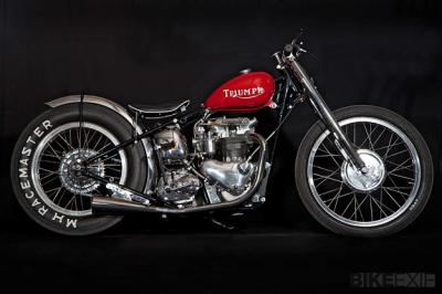 triumph-t100.jpg