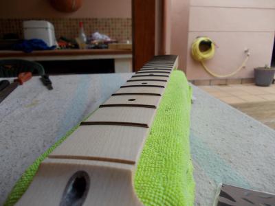 proyecto eliseo 105.jpg