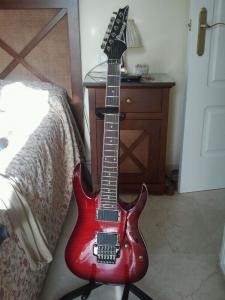 IBANEZ 42_2.jpg