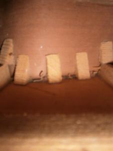 PB220287 [800x600].jpg