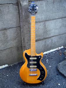 GIbson_S-1.jpg