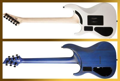 washburn 1 copia.jpg