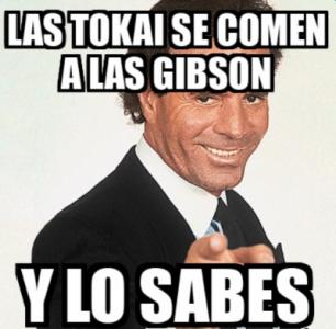 TOKAI COME GIBSON MEME.jpg