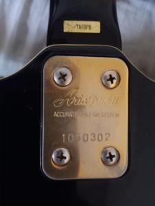 Chapa identificativa guitarra 1.jpg