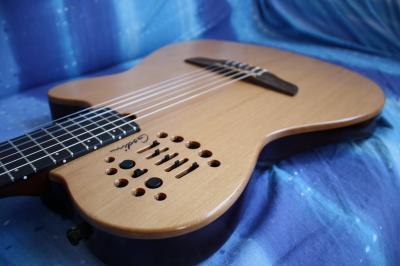 Godin Multiac ACS SA 02.JPG