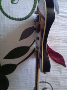 peavey generation 1.jpg