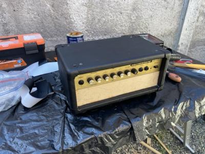 IMG_5759 Medium.jpeg