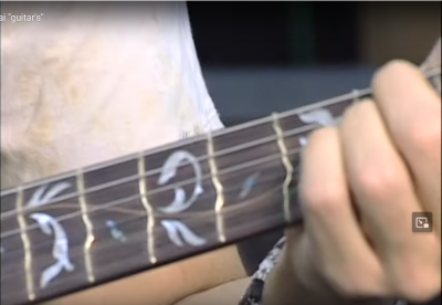 steve vai trastes.png