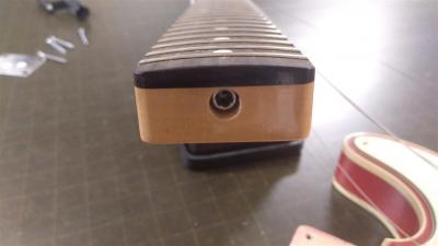 IMG_20201201_194335_666 (Medium).jpg