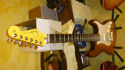 Fender Select 12.jpg
