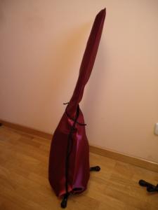 Stratocaster con funda2.jpg