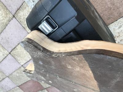 IMG_8818 3:8:2018.jpg