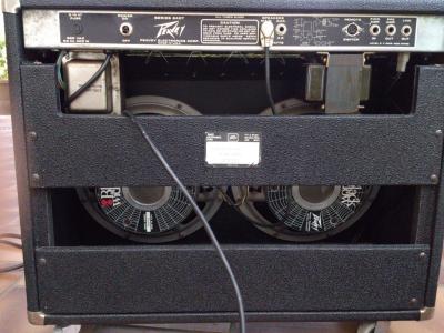 peavey-deuce trasera.jpg