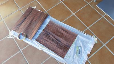 Chapas con cola 1.jpg