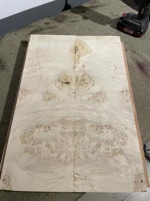 FotoCuerpoCaobaProto2