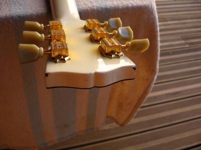 proyecto eliseo 083.jpg