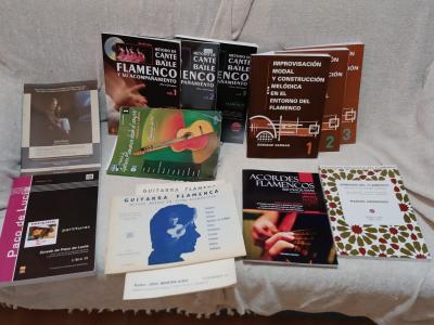 FLAMENCO_LIBROS.jpg