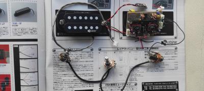 Fernandes Sustainer close.jpg