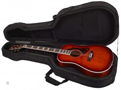 godin-metropolis-ltd-havana-burst-hg-eq.jpg