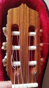 WhatsApp Image 2023-08-22 at 16.29.18.jpeg