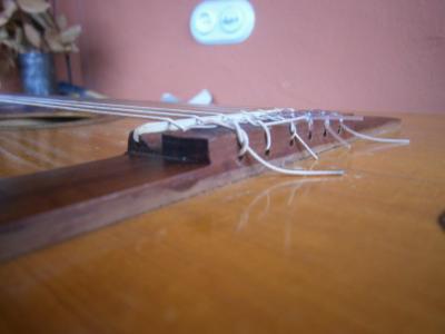 PB220256 [800x600].jpg