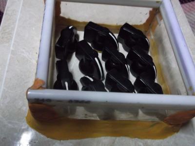 Gallinero con 10 gallinitas.jpg