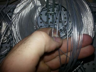 2014-09-17 12.05.48.jpg