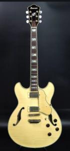 Ibanez AS103 nt.jpeg