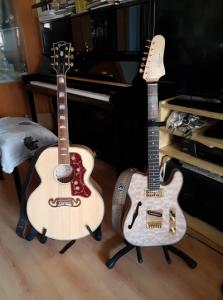 TELECA AGL_GIBSON SJ200_n.jpg