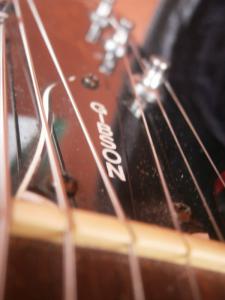 PA100179 [800x600].jpg