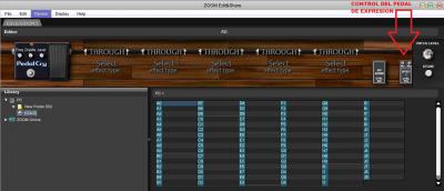 CONTROL DE EXPRESION (1).JPG