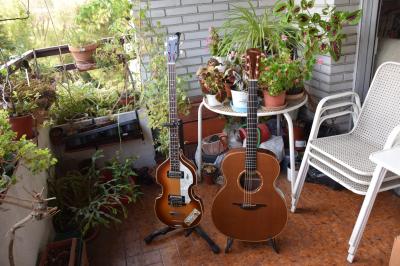 O 25 y bajo Hofner.jpg