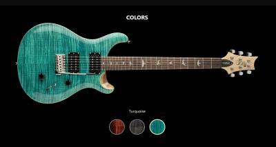 PRS SE CUSTOM 24 TQ.jpg