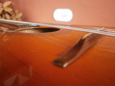 PB220316 [800x600].jpg