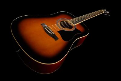 Ibanez acustica.jpg
