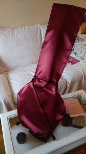 Les Paul con funda.jpg