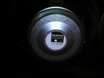 celestion 8ohm 12.jpg