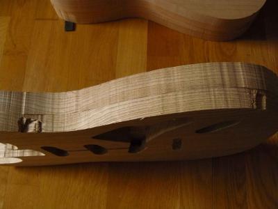 cuerpo fresno mordiscos 7.jpg