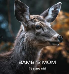 Screenshot_20230603-163109_Samsung Internet.jpg