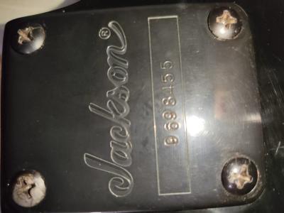 Jackson PS1 (5).jpeg