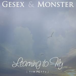 learning to fly copy768.jpg