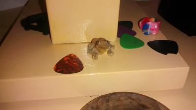 2014-11-23 12.43.43.jpg