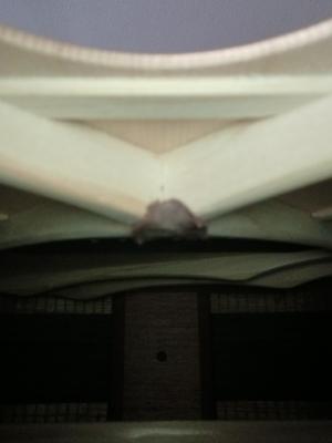 X BRACING FORWARD SHIFTED_20220105_120103.jpg