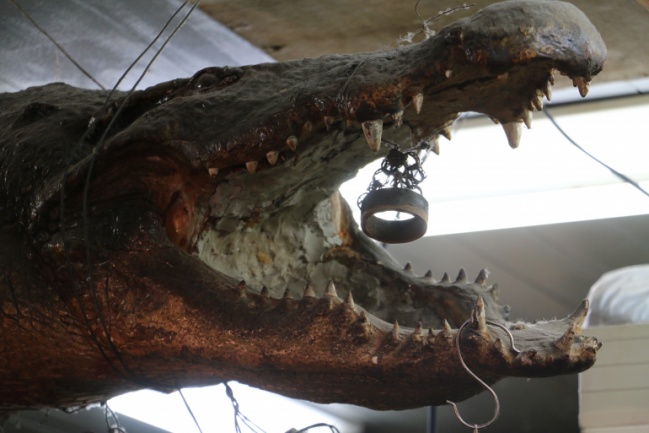 Mercado Tsukiji - Cocodrilo disecado
