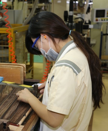 Incrustaciones en el diapasón