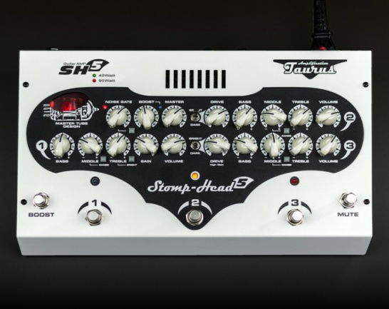 Taurus Stomp-Head 5