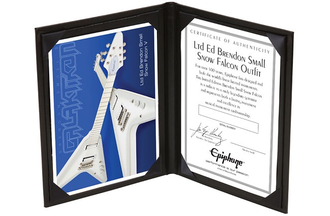 Epiphone Brendon Small